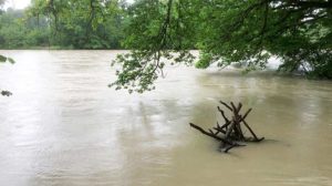 Hochwasserschutz Belp